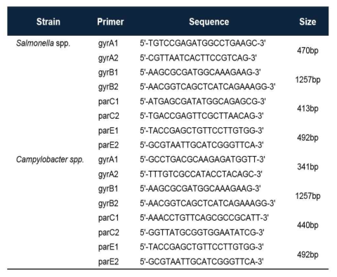 Primer sequences and target region for amplification and sequencing of QRDR in gyrA․B and parC․E