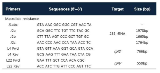 Primer sequences and target region for amplification and sequencing of Macrolide resistance related gene