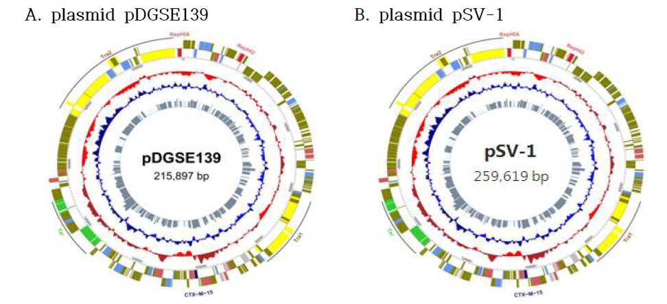 Circular representation of the plasmid pDGSE139 and pSV-1