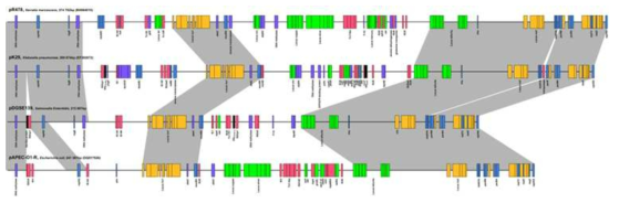 Alignment of IncHI2 plasmid, pDGSE139in S. Enteritidis