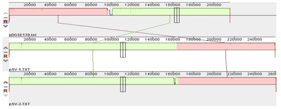 Alignment of three IncHI2 plasmids in S. Virchow