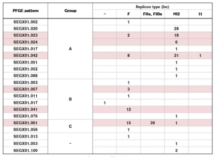 Comparison of CTX-resistant S. Enteritidis producing ESBL by PFGE pattern and replicon type