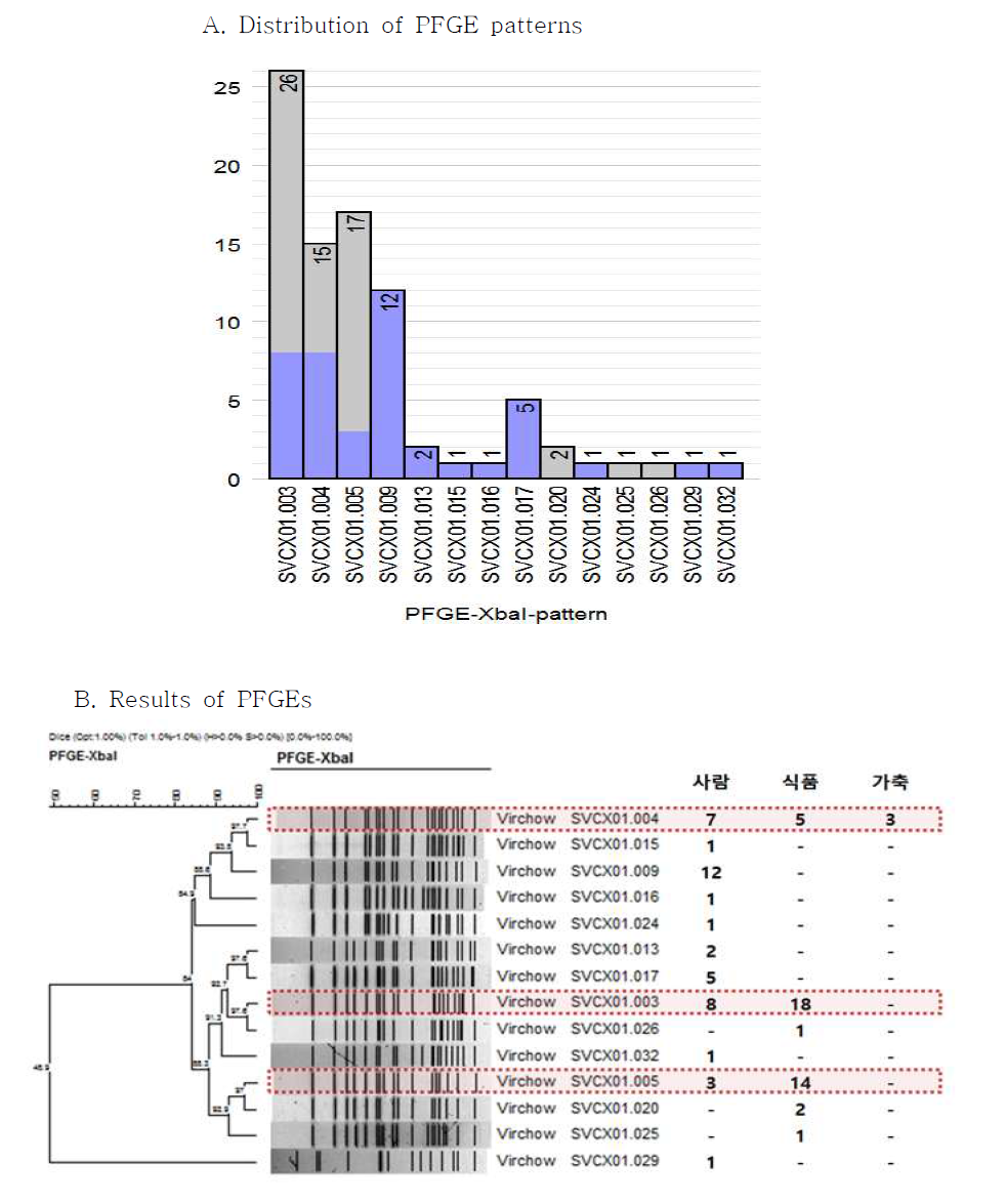 Comparison of PFGE type between 3rd cephalosporin resistant human and foodborne S. Virchow