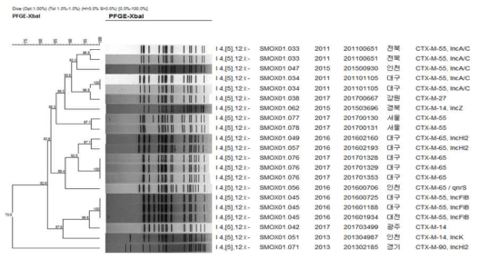 Comparison of PFGE type between 3rd cephalosporin resistant human and foodborne S. I 4,[5],12:i:-