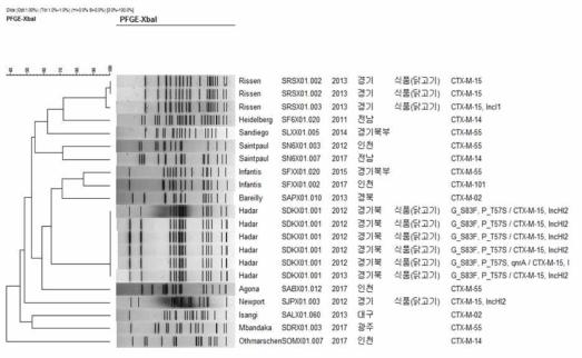 Comparison of PFGE type between 3rd cephalosporin resistant human and foodborne S. spp