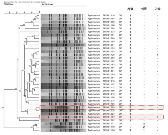 Comparison of PFGE type between Fluoroquinolone resistant human and foodborne S. Typhimurium