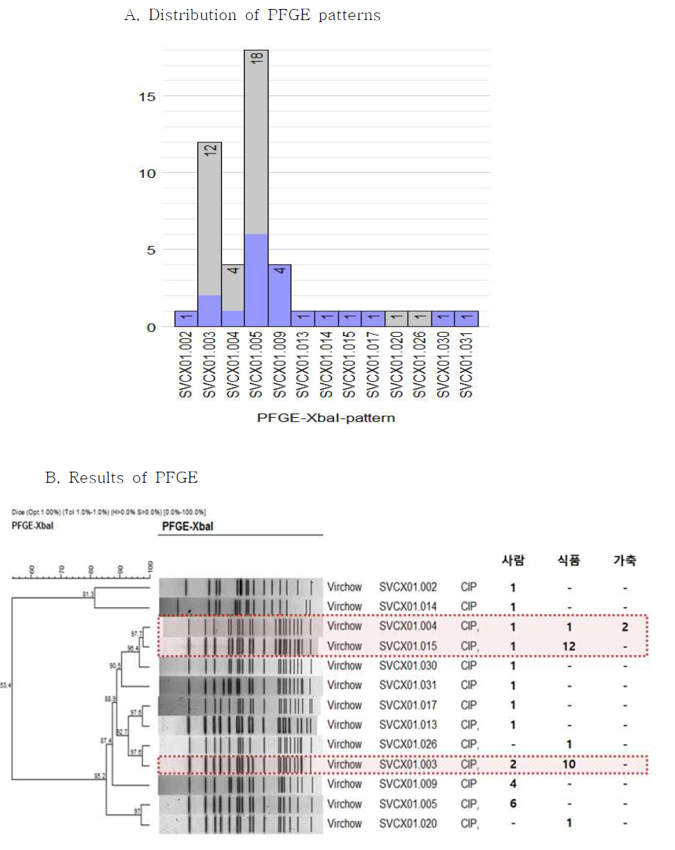 Comparison of PFGE type between Fluoroquinolone resistant human and foodborne S. Virchow