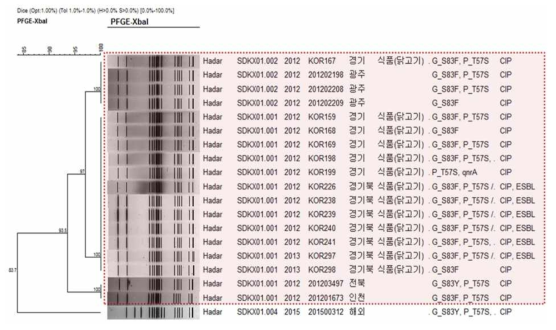 Comparison of PFGE type between Fluoroquinolone resistant human and foodborne S. Hadar