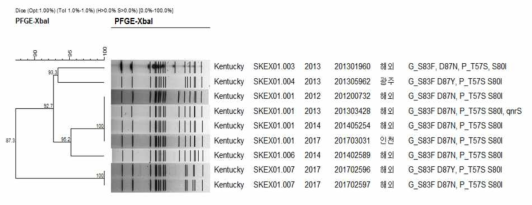 Comparison of PFGE type between Fluoroquinolone resistant human and foodborne S. Kentucky