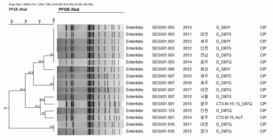 Comparison of PFGE type between Fluoroquinolone resistant human and foodborne S .Enteritidis