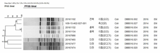 Comparison of PFGE type between Macrolide resistant human and foodborne C. coli