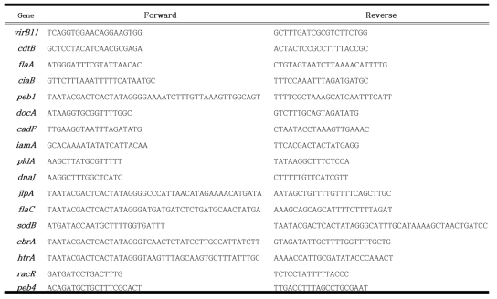 Virulence gene primers