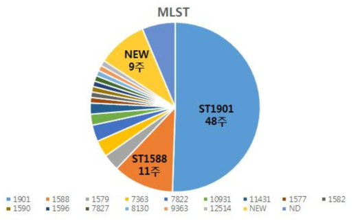 2015-16년 국내 분리 임균의 MLST 분포