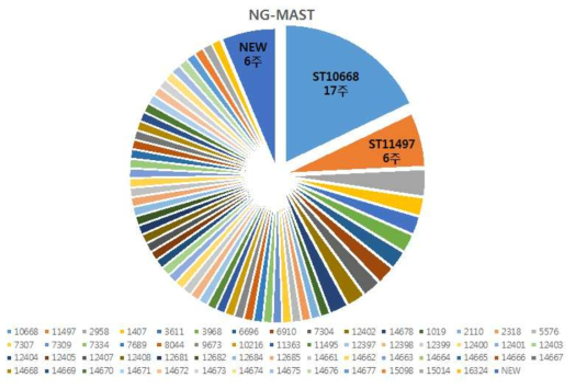 2015-16년 국내 분리 임균의 NG-MAST 분포
