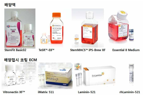 hiPSC 줄기세포 배양액 및 코팅용 ECM