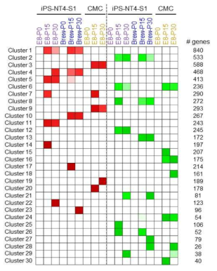 각 조건 특이적 발현양 변화를 보이는 유전자에 대한 NMF 패턴 분석