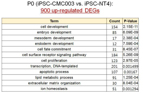 iPSC-NT4와 iPSC-CMC003 군간 up-regulated DEG
