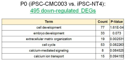 iPSC-NT4와 iPSC-CMC003 군간 down-regulated DEG