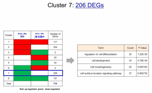 스트레스 저감을 위한 배양 첨가제 처리 후 Cluster 7 (감소하는 유전자)