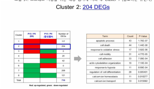 스트레스 저감을 위한 배양 첨가제 처리 후 Cluster 2 (증가하는 유전자)