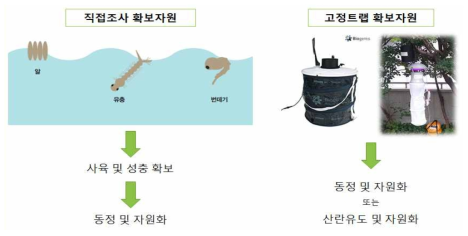 직접채집과 고정트랩채집을 통한 자원화 과정