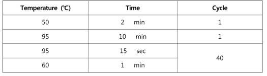 Real-time PCR 반응조건