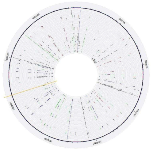 targeted sequencing 분석결과를 통한 SNP 분포도