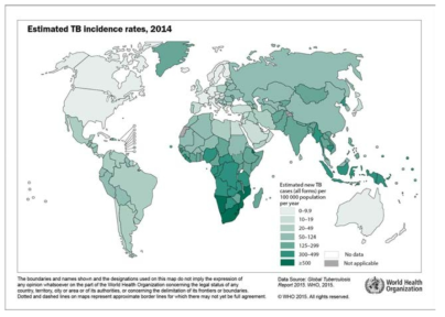2014년 전 세계 결핵 발생 현황 (WHO, 2015 결핵보고서)