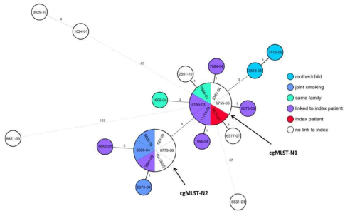 26주 집단발병 사례의 WGS검사를 통한 minimum spanning tree