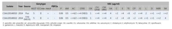 OS-MRSA 균주의 유전형 및 항생제 감수성 시험 결과