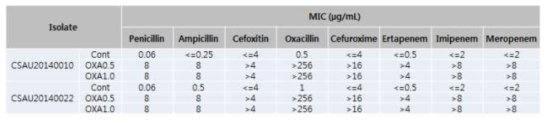 Oxacillin 노출 후 항생제 감수성 변화
