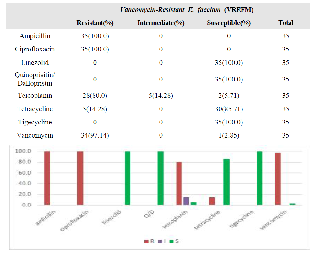종합병원 분리 VREFM의 항생제 내성 패턴