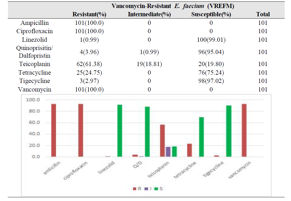 중소병원 분리 VREFM의 항생제 내성 패턴