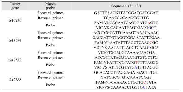 VISA genotyping assay primer 및 probe