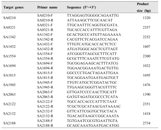 VISA mutation 관련 PCR primer