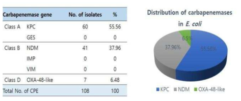 카바페넴 분해효소를 생성하는 E. coli에서의 카바페넴 분해효소 타입에 따른 분포