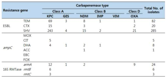 CPE K. pneumoniae에서의 카바페넴 분해효소 타입에 따른 내성유전자의 분포