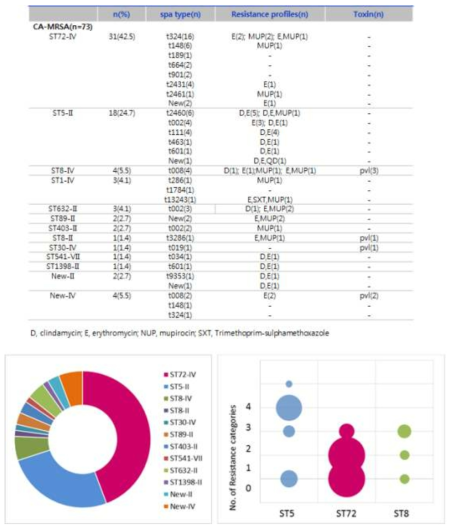 CA-MRSA의 유전형 및 항생제 내성 profile
