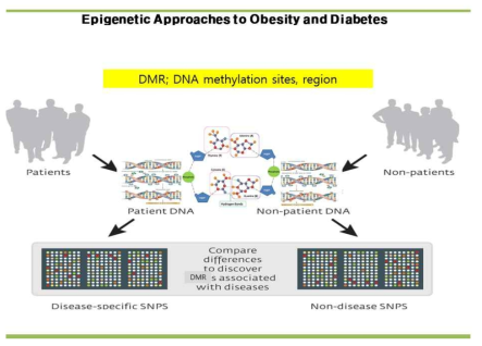정상과 당뇨 비만 질환에서 혈액에서 추출한 DNA의 메틸화를 비교 분석하여 통계적으로 유의한 CpG 지역을 발굴함