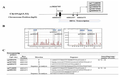HIF3A의 유전자 구성. 분석한 후보 CpG sites와 SNP 구성