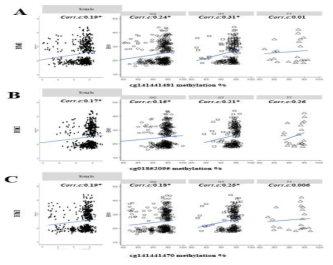 CpG methylation과 BMI 변수와의 상관 관계 cg141441481(A),cg01852095(B),cg141441470(C)