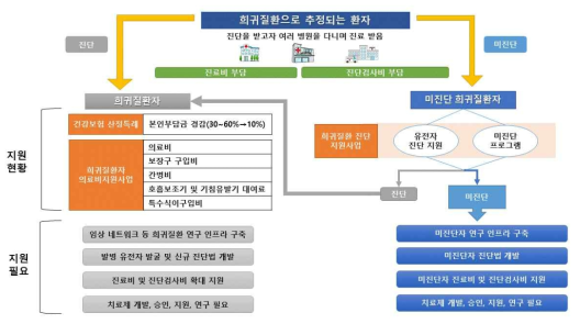 희귀질환 대상별 연구 및 국가지원 필요 영역