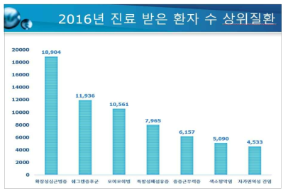 ’16년 진료받은 환자 수 상위질환