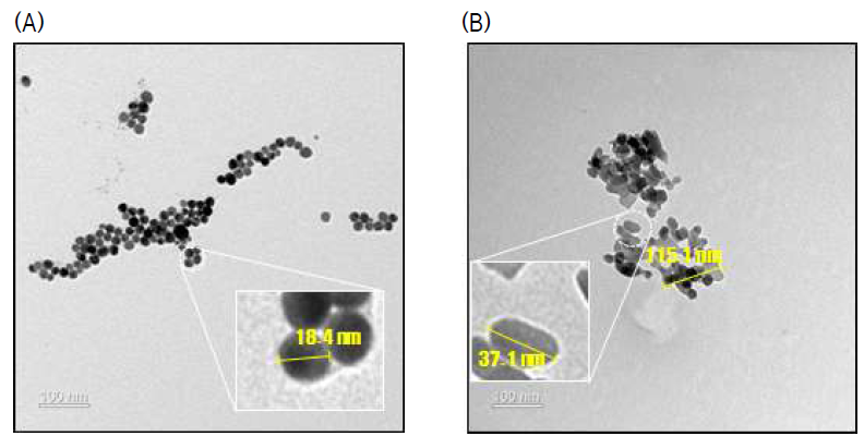 TEM images of (A) AgNPs and (B) ZnO NPs
