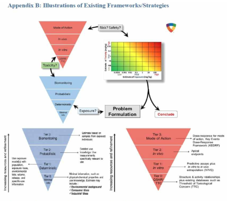 General Conceptual Framework of the RISK21 approach