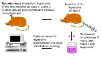 Local Lymph Node Assay (OECD TG 429)