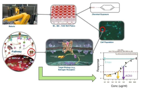 High-Throughput Screening (HTS) process (EPA)