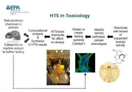 HTS assays in toxicology (EPA)