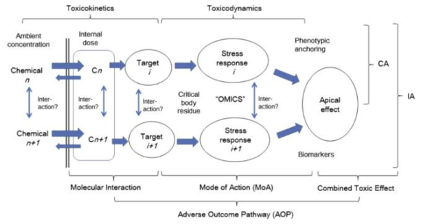 AOP에서의 통합된 OMICS 결과 활용 (Beyer et al., 2014)
