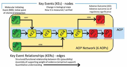 AOP Framework (Wittwehr et al., 2017)